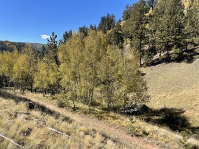 Land for Sale in the Colorado Mountains - image 8