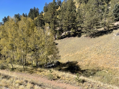 Land for Sale in the Colorado Mountains - image 9