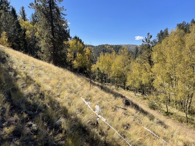 Land for Sale in the Colorado Mountains - image 7