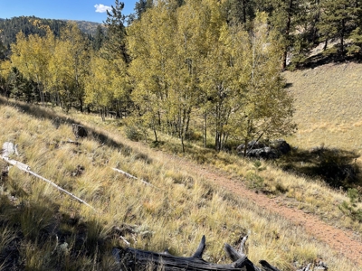 Land for Sale in the Colorado Mountains - image 10