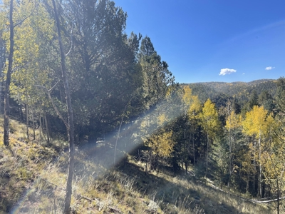 Land for Sale in the Colorado Mountains - image 13