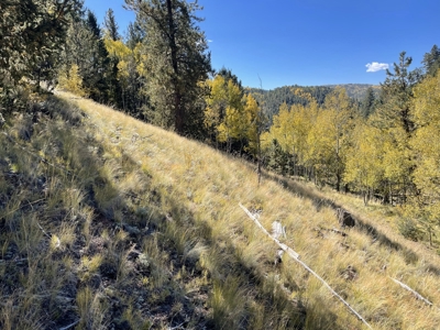 Land for Sale in the Colorado Mountains - image 11