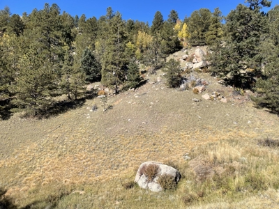 Land for Sale in the Colorado Mountains - image 3