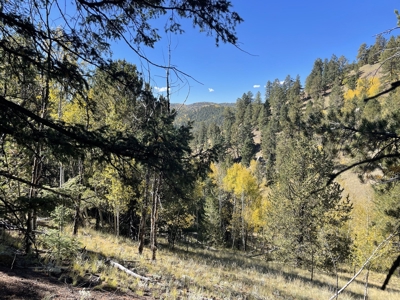 Land for Sale in the Colorado Mountains - image 1