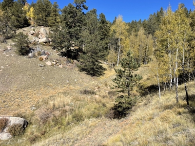 Land for Sale in the Colorado Mountains - image 4