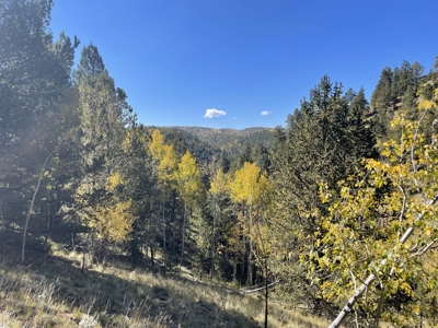 Land for Sale in the Colorado Mountains - image 12