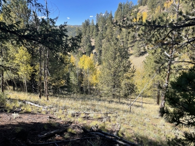 Land for Sale in the Colorado Mountains - image 2