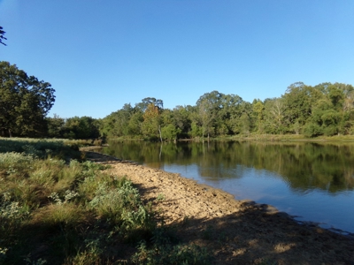 Land For Sale 231+ Acres NE TX Lamar County TX Blossom TX - image 12