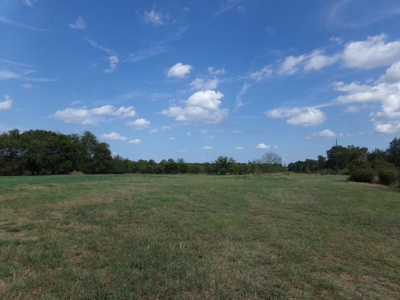 Land For Sale 231+ Acres NE TX Lamar County TX Blossom TX - image 4
