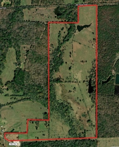 231± Acre Ranch for Sale in Lamar County, Texas – Blossom, TX - image 35
