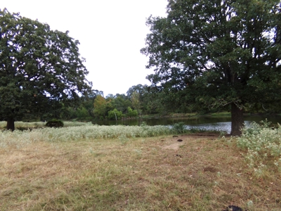 Land For Sale 231+ Acres NE TX Lamar County TX Blossom TX - image 25