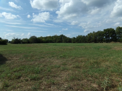 Land For Sale 231+ Acres NE TX Lamar County TX Blossom TX - image 6