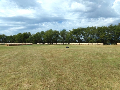 Land For Sale 231+ Acres NE TX Lamar County TX Blossom TX - image 20