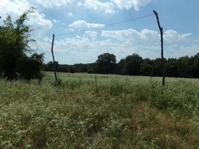 Land For Sale 231+ Acres NE TX Lamar County TX Blossom TX - image 29