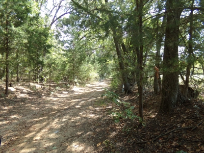 Land For Sale 231+ Acres NE TX Lamar County TX Blossom TX - image 33