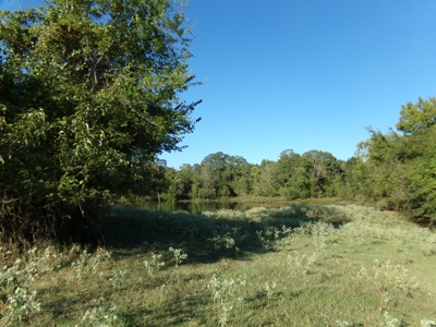Land For Sale 231+ Acres NE TX Lamar County TX Blossom TX - image 13