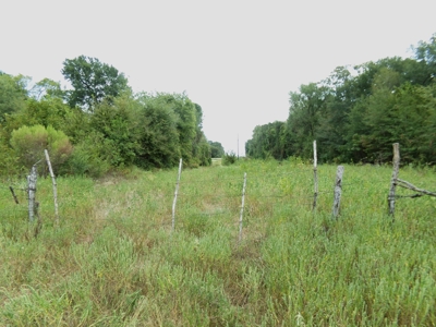 Land For Sale 231+ Acres NE TX Lamar County TX Blossom TX - image 18