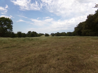 Land For Sale 231+ Acres NE TX Lamar County TX Blossom TX - image 24
