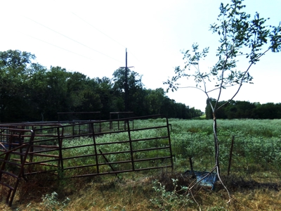 Land For Sale 231+ Acres NE TX Lamar County TX Blossom TX - image 32