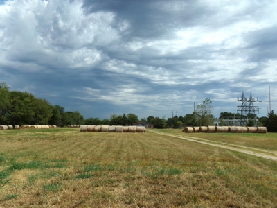 Land For Sale 231+ Acres NE TX Lamar County TX Blossom TX - image 22