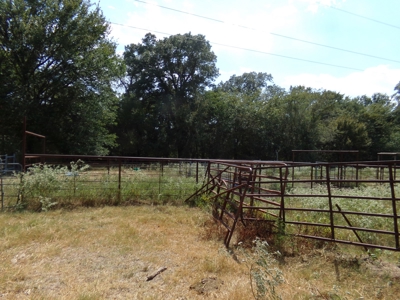Land For Sale 231+ Acres NE TX Lamar County TX Blossom TX - image 31