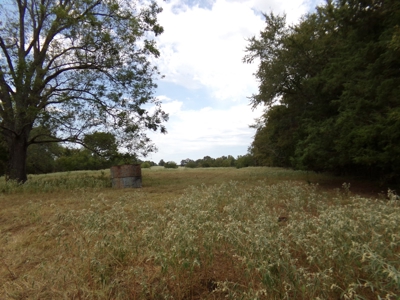 Land For Sale 231+ Acres NE TX Lamar County TX Blossom TX - image 23