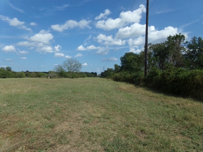 Land For Sale 231+ Acres NE TX Lamar County TX Blossom TX - image 5
