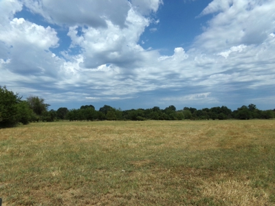 Land For Sale 231+ Acres NE TX Lamar County TX Blossom TX - image 16