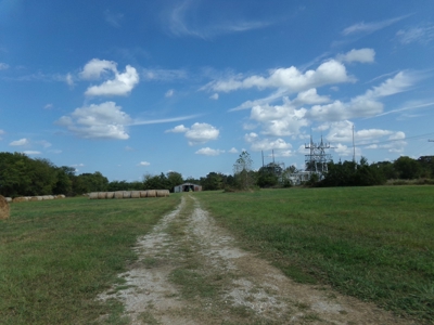 Land For Sale 231+ Acres NE TX Lamar County TX Blossom TX - image 2