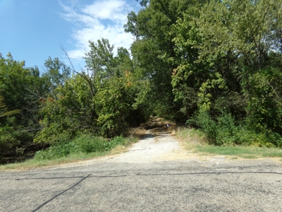 Land For Sale 231+ Acres NE TX Lamar County TX Blossom TX - image 34