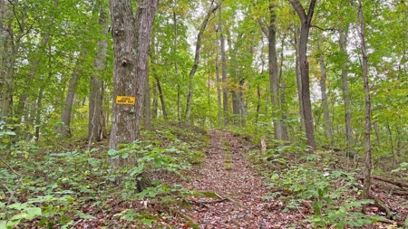 Gallia County Ohio Land for Sale - image 6