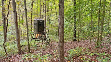 Gallia County Ohio Land for Sale - image 15