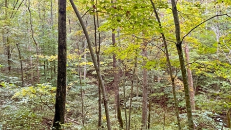 Gallia County Ohio Land for Sale - image 20