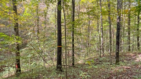 Gallia County Ohio Land for Sale - image 18
