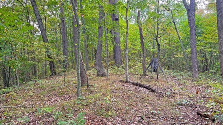 Gallia County Ohio Land for Sale - image 9