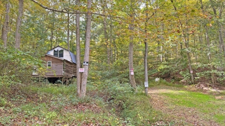 Gallia County Ohio Land for Sale - image 45