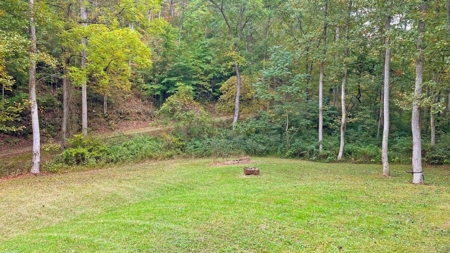 Gallia County Ohio Land for Sale - image 32