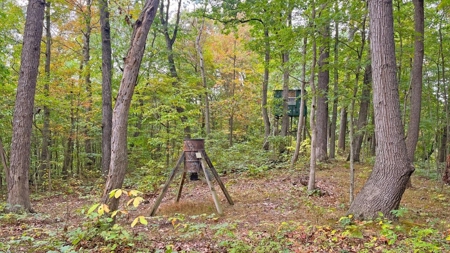 Gallia County Ohio Land for Sale - image 12