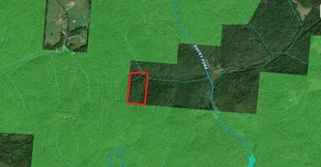 Gallia County Ohio Land for Sale - image 48