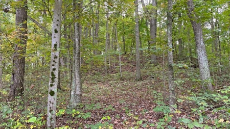 Gallia County Ohio Land for Sale - image 5