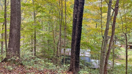 Gallia County Ohio Land for Sale - image 2