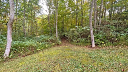 Gallia County Ohio Land for Sale - image 22