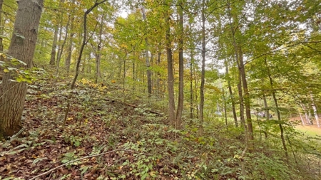 Gallia County Ohio Land for Sale - image 21