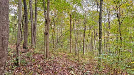 Gallia County Ohio Land for Sale - image 17