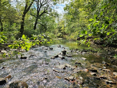 Little Eagle Creek Acreage with Utilities – Creek Frontage - image 4