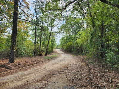 Little Eagle Creek Acreage with Utilities – Creek Frontage - image 6