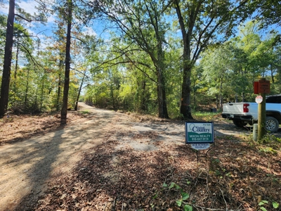 Little Eagle Creek Acreage with Utilities – Creek Frontage - image 2