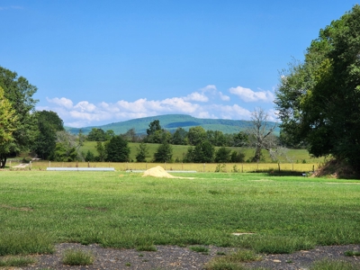 Little Eagle Creek Acreage with Utilities – Creek Frontage - image 3