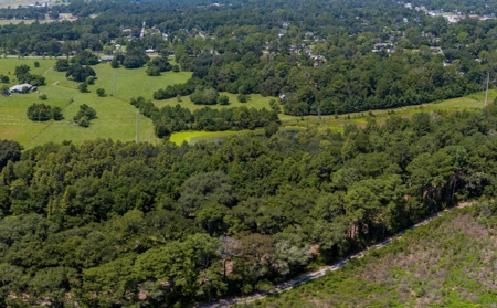 40 Acre Farm with 2 Ponds For Sale in Hamilton County, FL - image 36