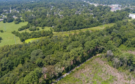 40 Acre Farm with 2 Ponds For Sale in Hamilton County, FL - image 15